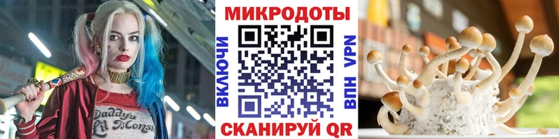 Галлюциногенные грибы Magic Shrooms  купить наркотики сайты  Никольск 