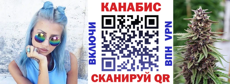 Конопля гибрид  Никольск 
